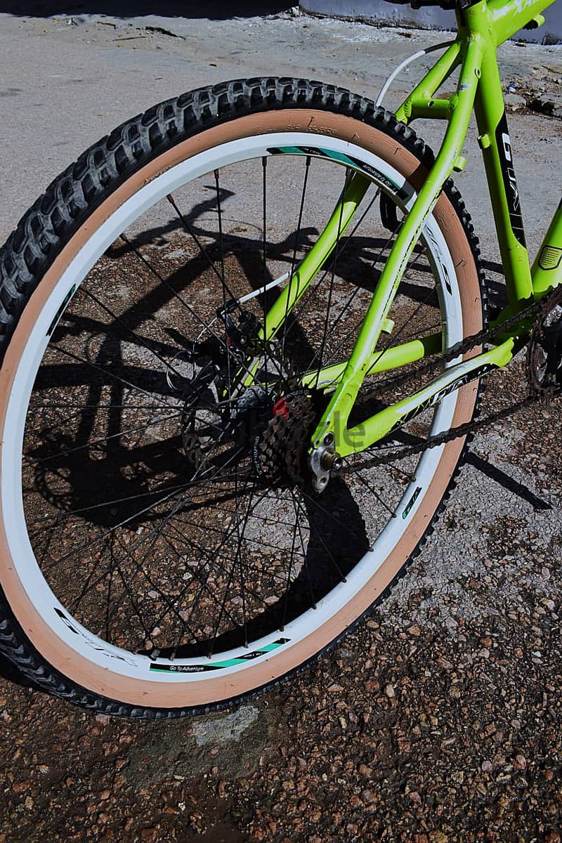 Mountain Bicycles 1