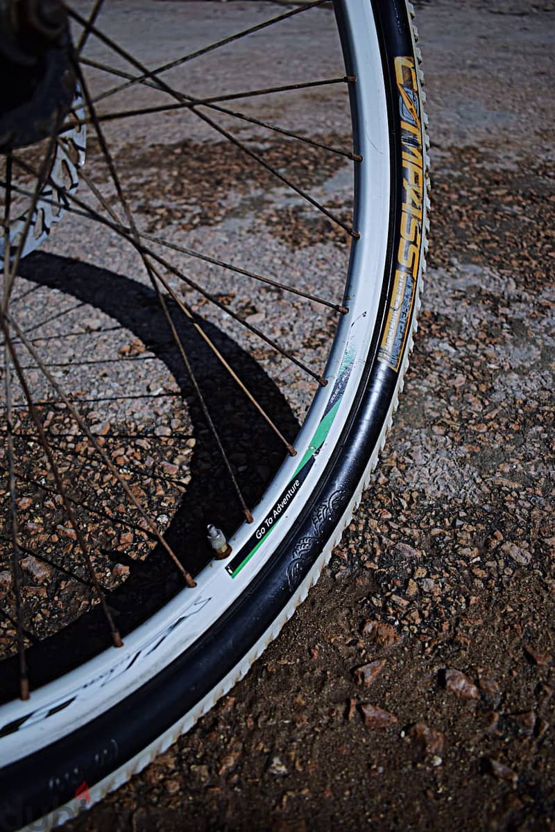 Mountain Bicycles 2