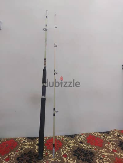 fishing rood daiwa