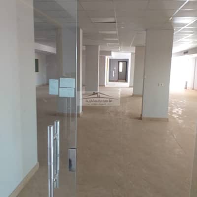 For Rent: 500 sq m Concrete Warehouse in Shorouk City with a Heavy-Duty Elevator