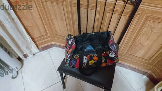 عدد 2 شنطة رحلات حجم صغير حاله جيده