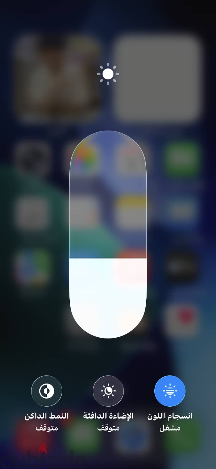 iPhone 11 2