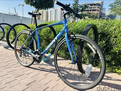 Giant Escape RX3