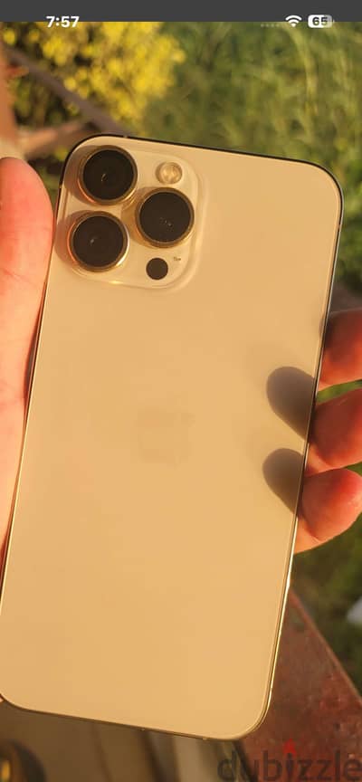 Apple - iPhone 13 Pro Max