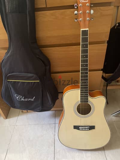 Chard Guitar