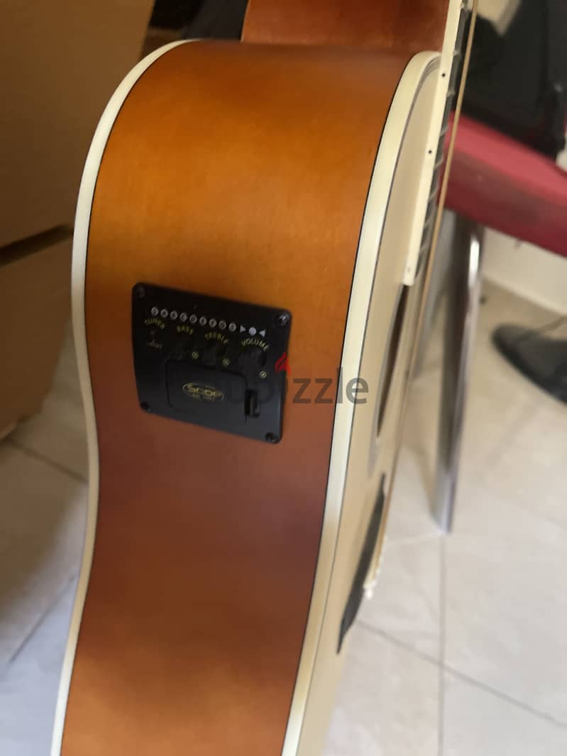 Chard Guitar 1