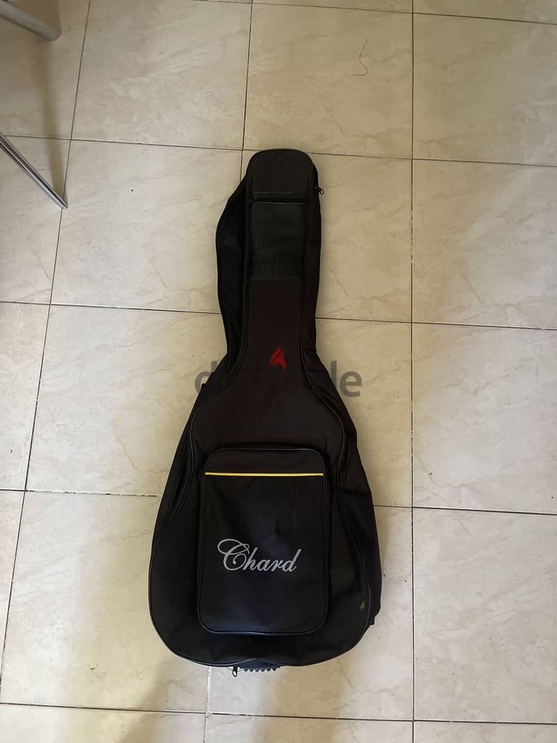 Chard Guitar 2