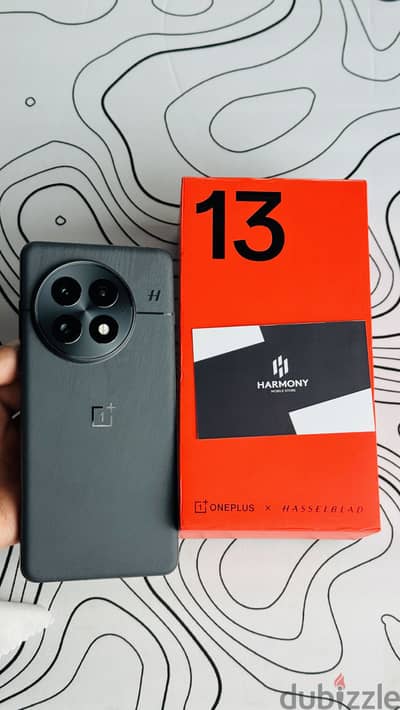 One plus 13