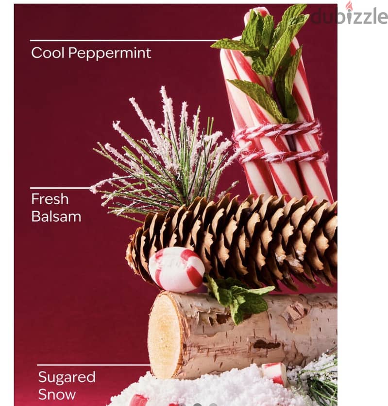 Bath and body works Twisted Peppermint Mist 1