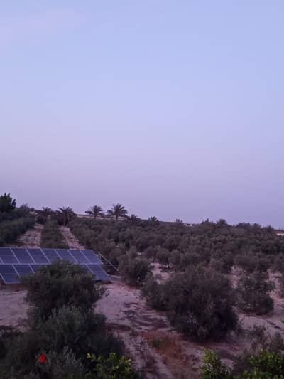 ارض زراعيه ٥ فدان بطريق العالمين قريه الشجاعه