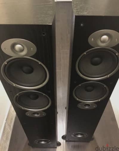 Bose 201 Speakers + Polk Audio RTi A5 Floorstanding Speakers
