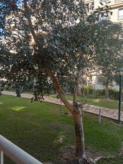 Apartment for sale in Madinaty 96m + 50m private garden B6