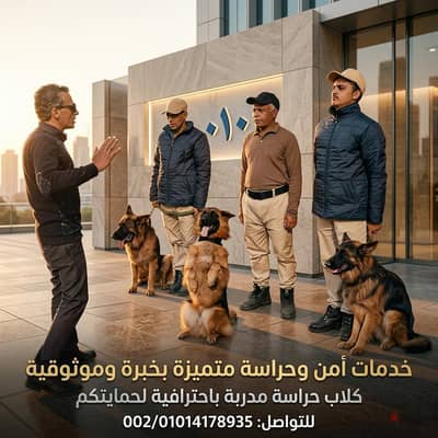 وبيع وتدريب كلاب الحراسة وكلاب ال k9