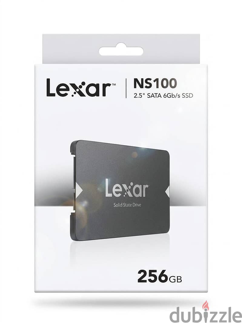 256 SSD 2.5 Inch 1