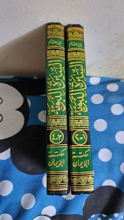 الغردقه _ السقاله