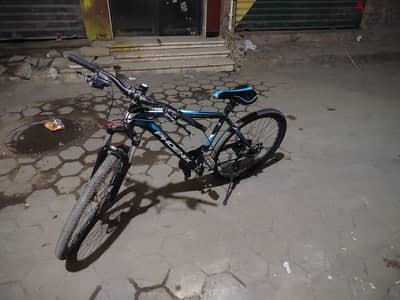 عجل 22