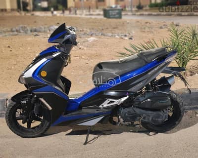 Marino sport 2021