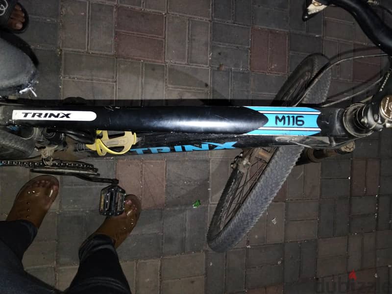 Trinex M116 1