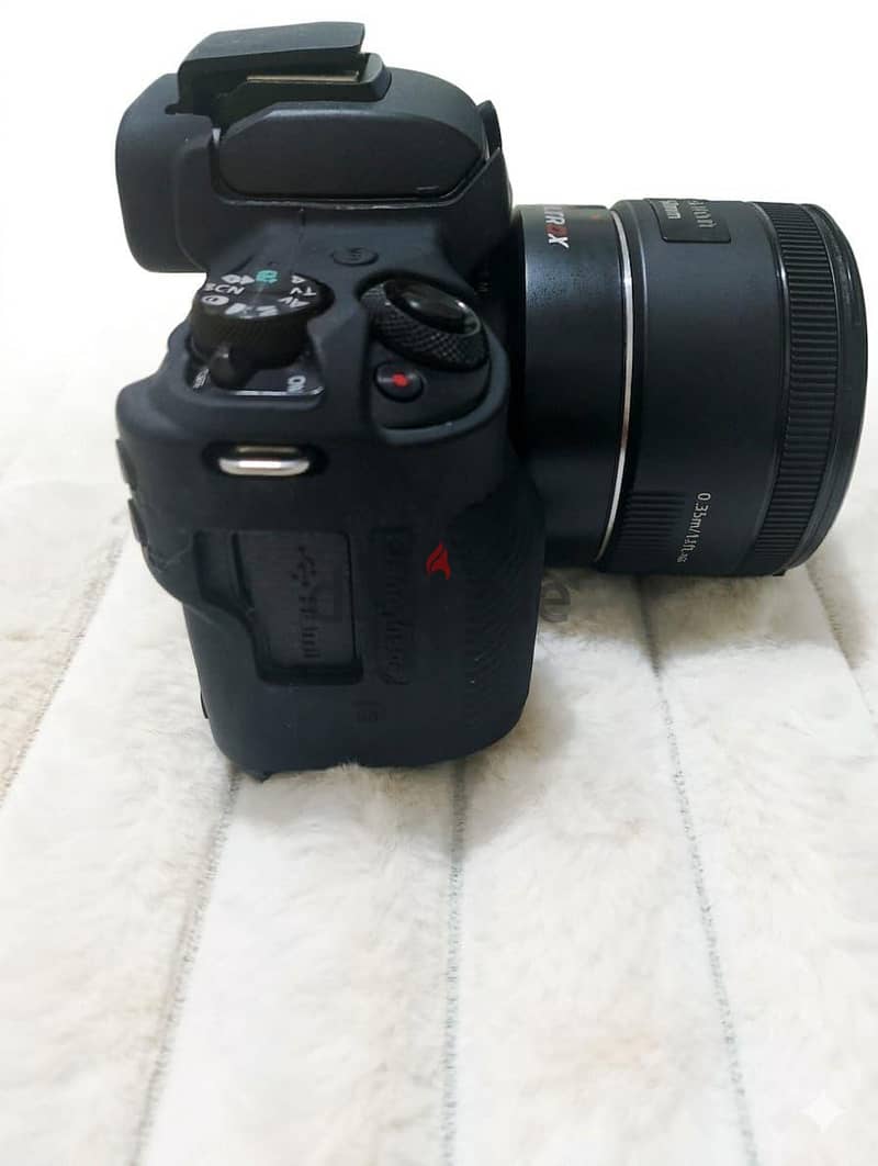 Canon EOS M50 Mirrorless 9