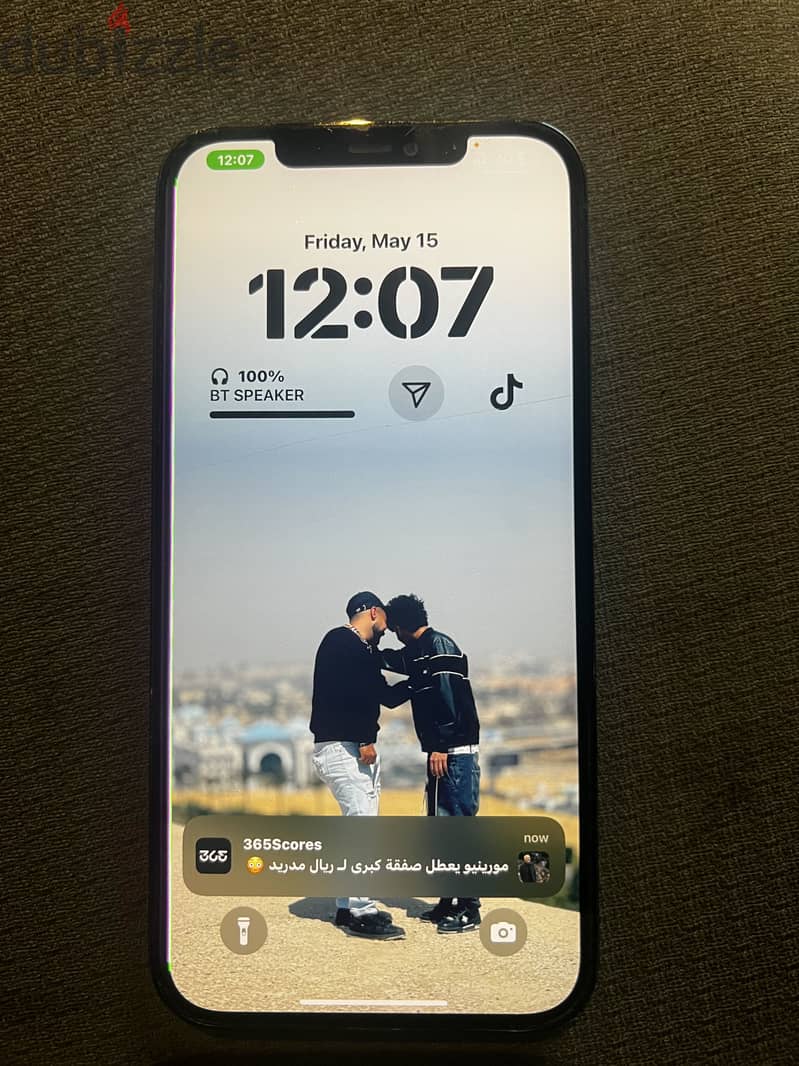 12 pro max 1