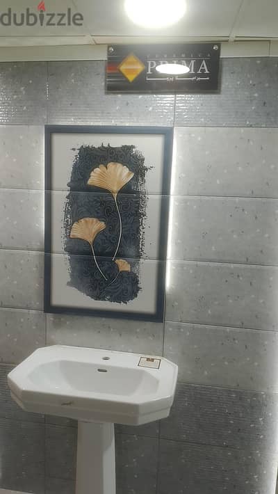 ٠١٠٦٦٤٣٥٨٠٢ هذه الشريحة للبيع