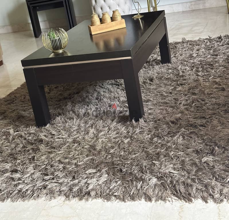 Living room table and carpet 1