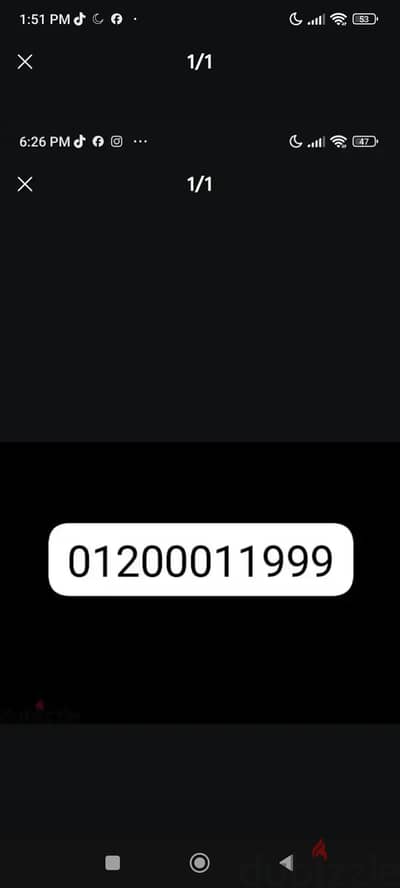 phone number
