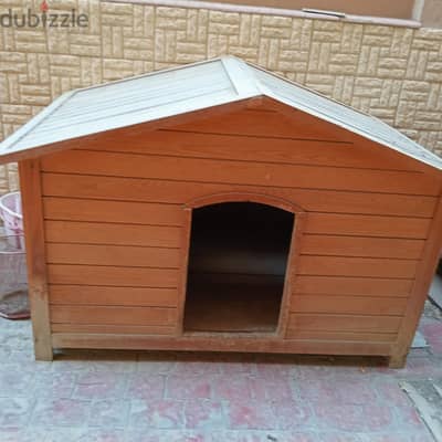 house for dogs