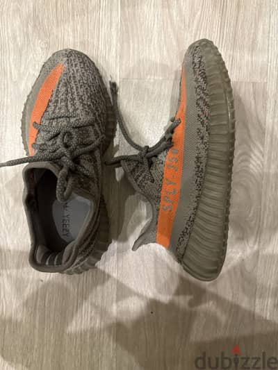 Yeezy sply-350