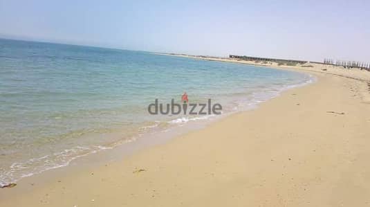 قريه بالميرا صف اول علي البحر