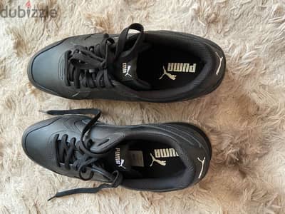 كوتش بوما puma الأصلى