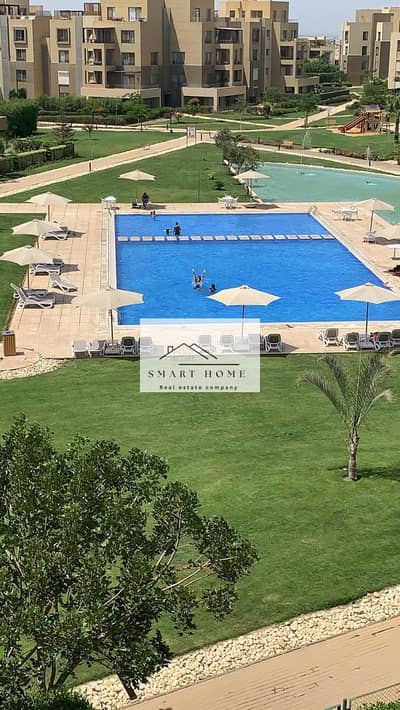 استديو لقطه للايجار بكمبوند بالم باركس مفروش بالكامل  in Palm Parks compound