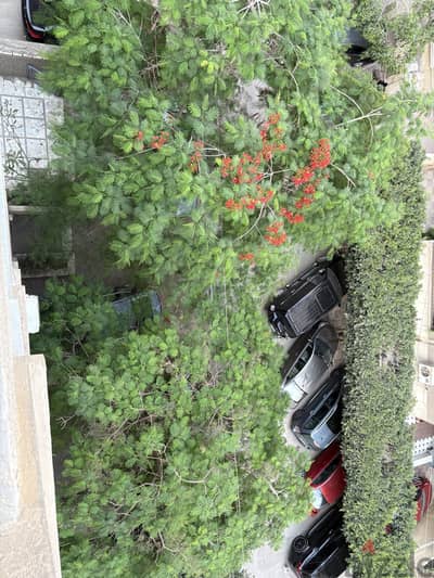 تخيل اطلالتك كده