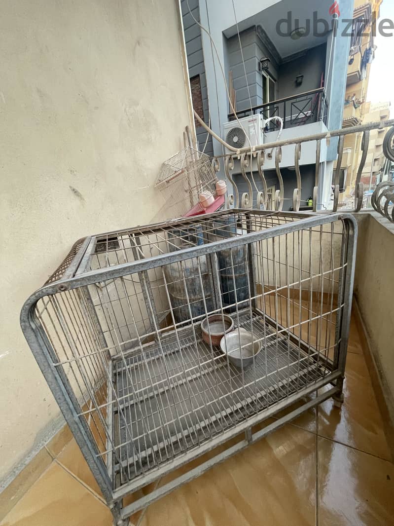 Maadi 1