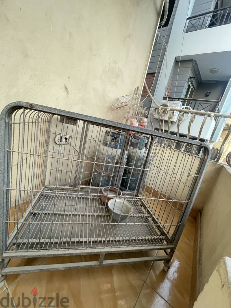 Maadi 2