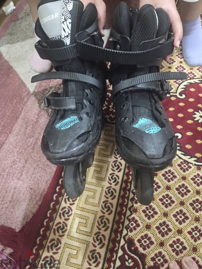 Skate Cougar 45 509
