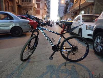 Phoenix S0715 Mountain Bike 17" – Excellent Condition