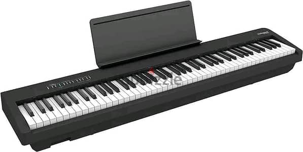 Roland Fb10 New