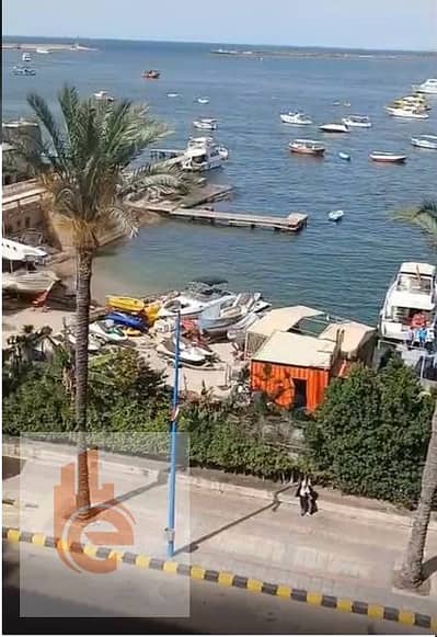 شقـة بـ بحرى علـى البحـر مباشر 100 م