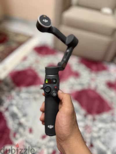 dig osmo7p