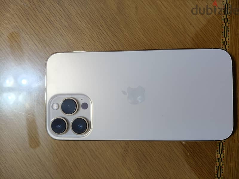 Apple - iPhone 13 Pro Max 1