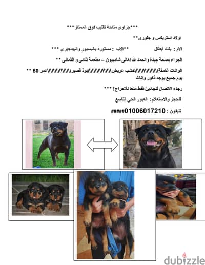 جراوى روت محترمة