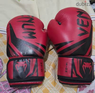 Boxing gloves venum 14 oz