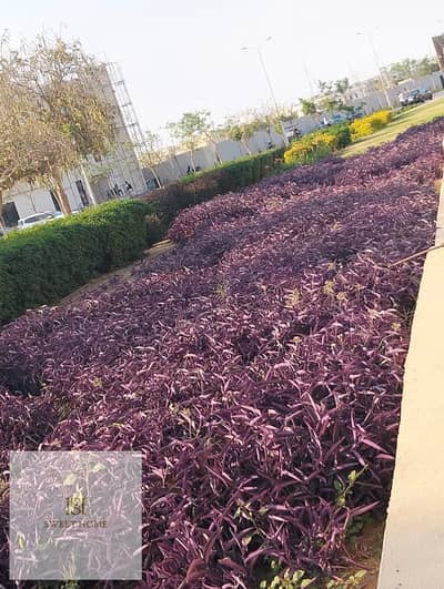 بسعر لقطه شقه للايجار مطبخ وتكييفات في Hyde Park