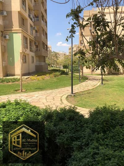 Apartment rental opportunity with 3 rooms under the law in my city