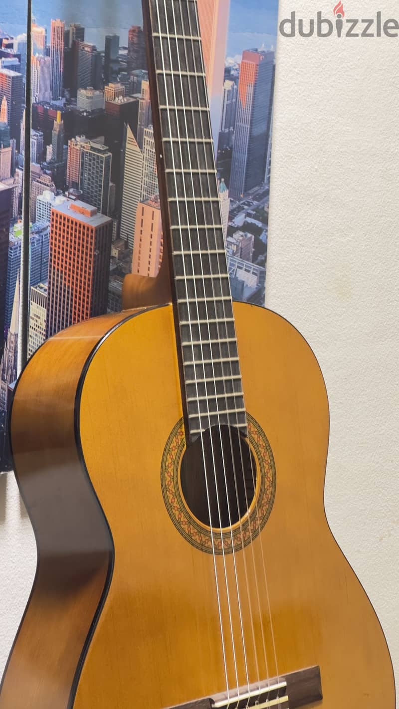 Yamaha C40 5