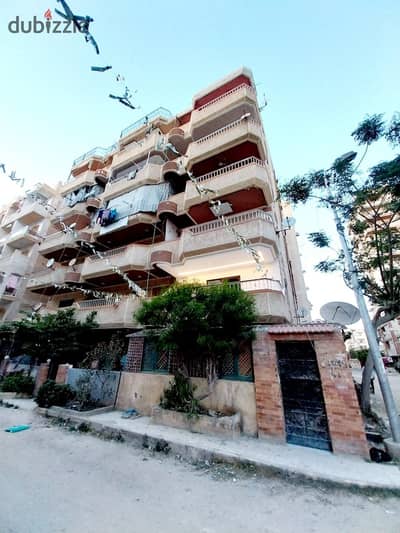 شقه للبيع بالإسكندرية العجمي شطي النخيل ٦اكتوبر الكيلو ٢١