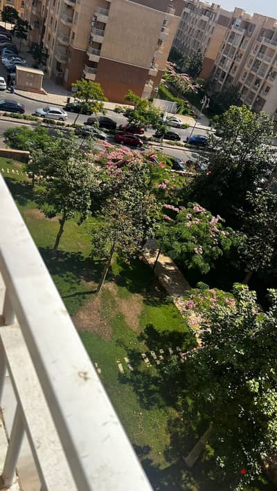 مجموعه 114بى 11مدينتى