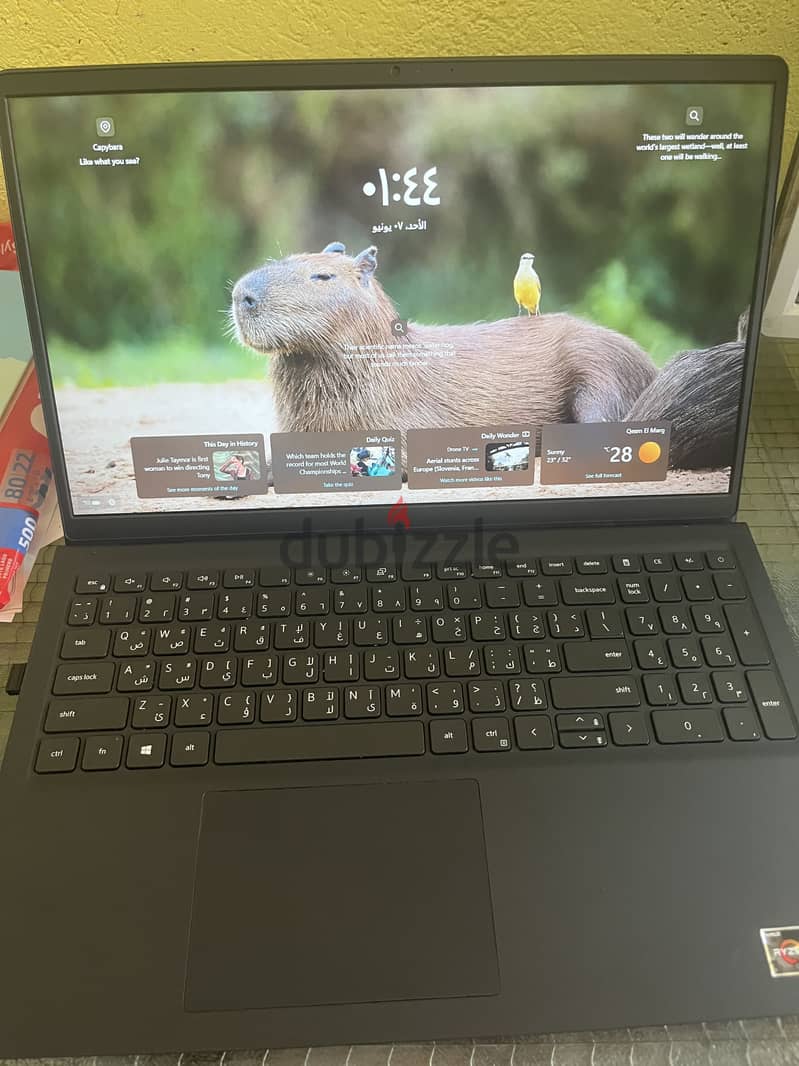 Dell 3515 2