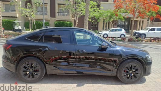 Audi Q8 2024
